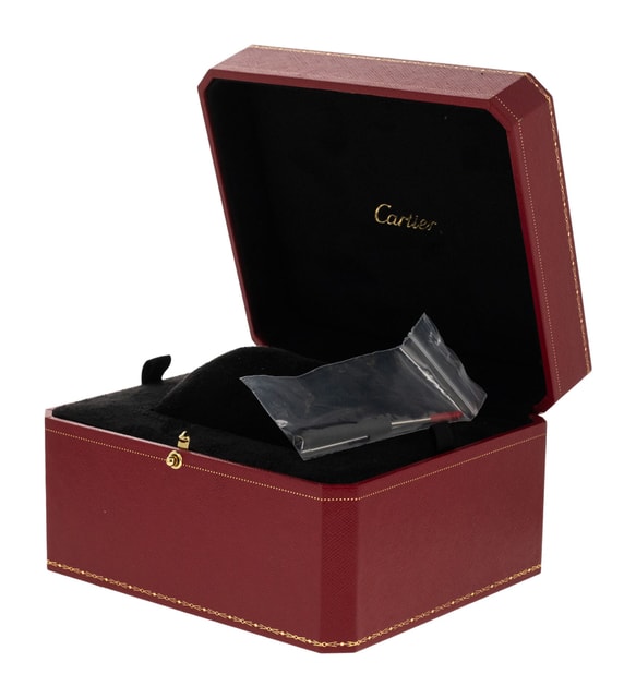 Cartier Santos 100 W20073X8 Image 4